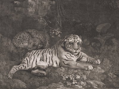 タイガーと眠っているヒョウ 作： George Stubbs